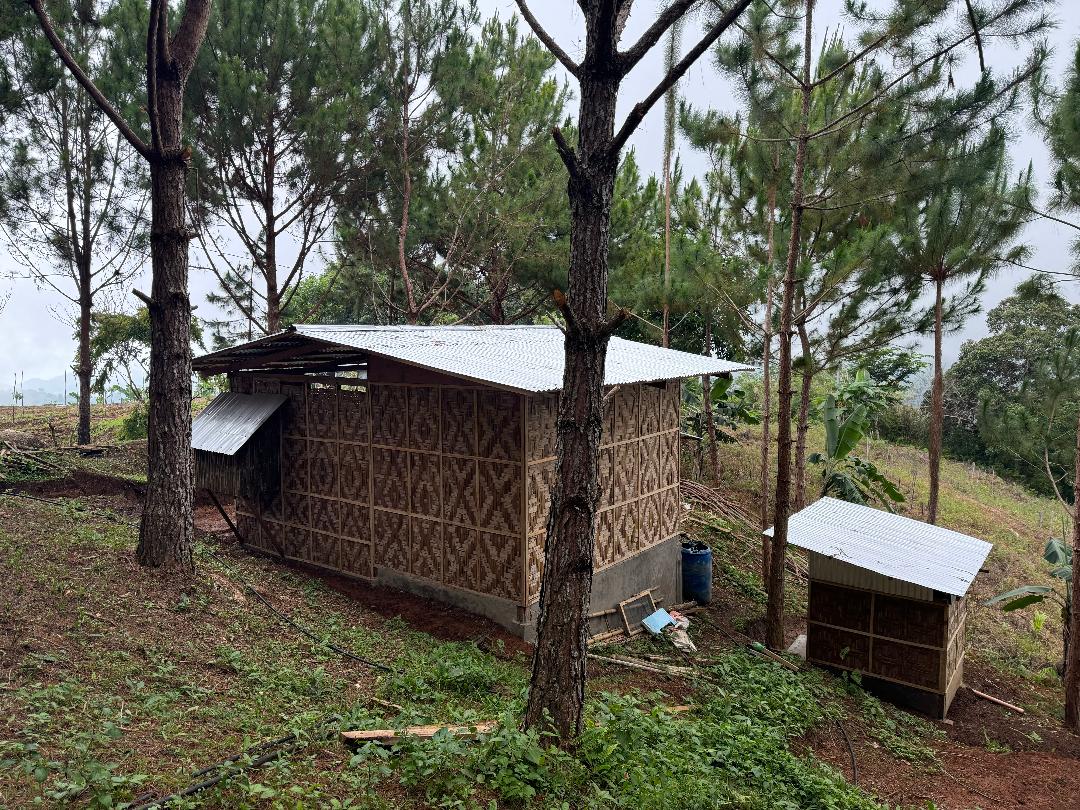 photo-bamboo-house